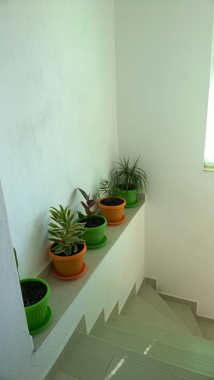 Summer Sz Guest House سوزوبول المظهر الخارجي الصورة